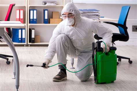 termite service thunderbolt|Termites – TopBest Pest Services, Inc..